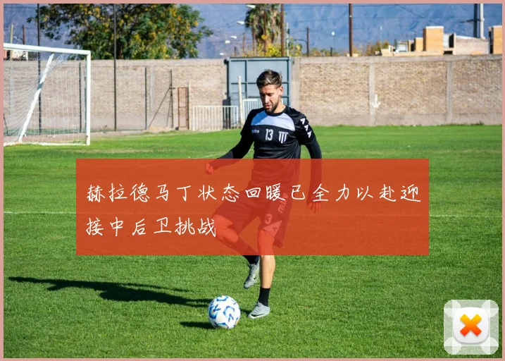 赫拉德马丁状态回暖已全力以赴迎接中后卫挑战